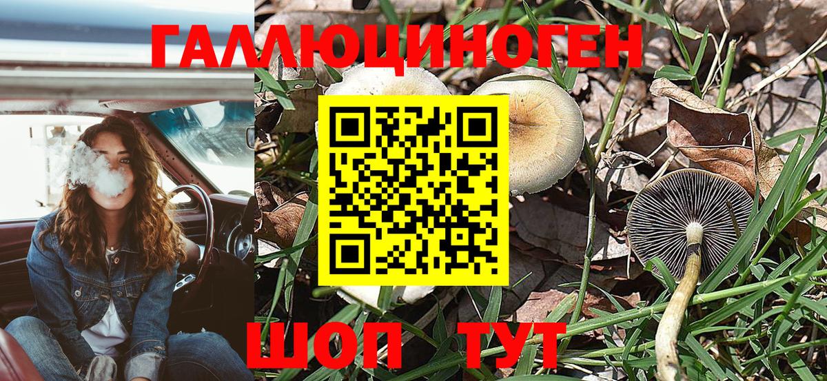 Псилоцибиновые грибы мухоморы  Псилоцибиновые грибы MAGIC MUSHROOMS  Вход с VPN  Благодарный 